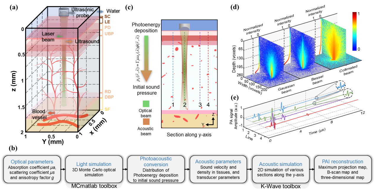 南京理工大学：定量光声皮肤镜，基于四维光谱-空间计算的光声显微技术
