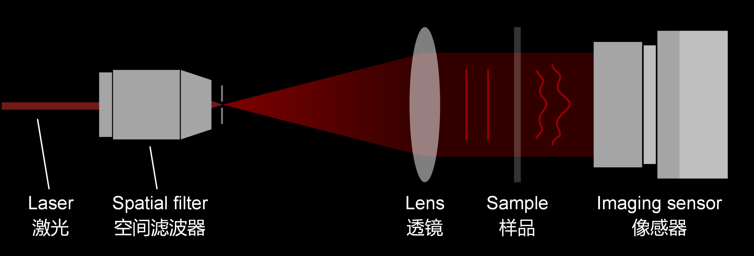 Light Adv. Manuf. | 压缩数字全息:快照式光学成像与检测 Light Adv. Manuf. | 压缩数字全息:快照式光学成像与检测