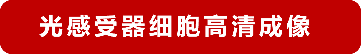 全球瞩目!首台商用自适应光学眼底影像系统震撼上市,引领眼科诊疗技术重大革新! 全球瞩目!首台商用自适应光学眼底影像系统震撼上市,引领眼科诊疗技术重大革新!