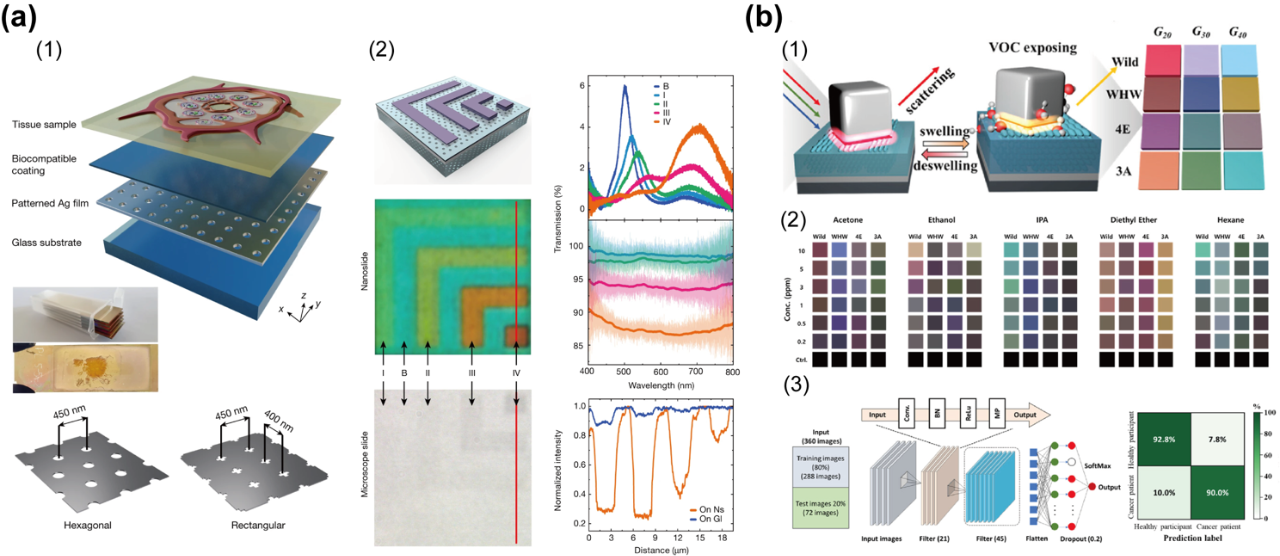 Photonics Insights封面 | 肖淑敏教授/宋清海教授：结构色研究进展