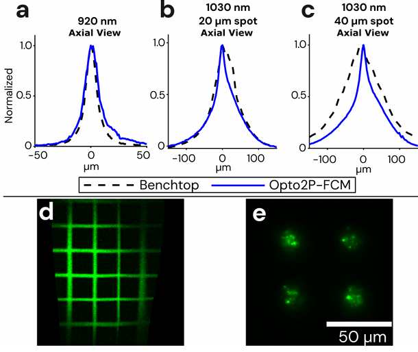 bioRxiv preprint * Opto2P-FCM:新型头戴式微型双光子光遗传显微镜 bioRxiv preprint * Opto2P-FCM:新型头戴式微型双光子光遗传显微镜