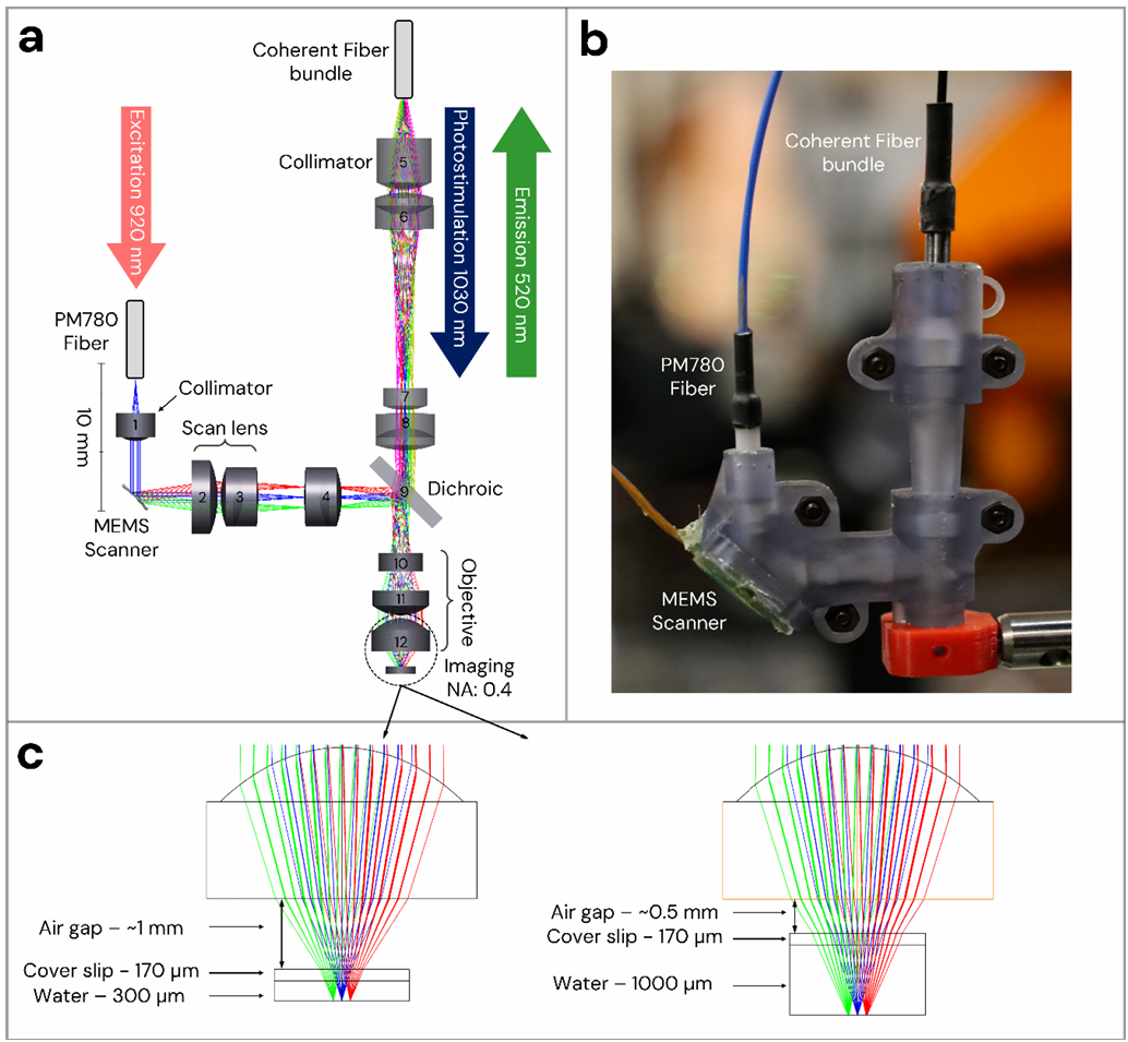 bioRxiv preprint * Opto2P-FCM:新型头戴式微型双光子光遗传显微镜 bioRxiv preprint * Opto2P-FCM:新型头戴式微型双光子光遗传显微镜