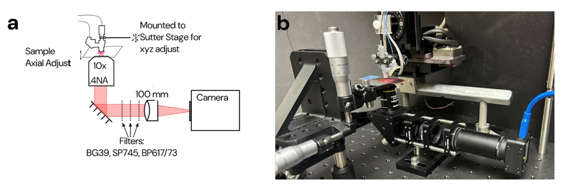 bioRxiv preprint * Opto2P-FCM:新型头戴式微型双光子光遗传显微镜 bioRxiv preprint * Opto2P-FCM:新型头戴式微型双光子光遗传显微镜