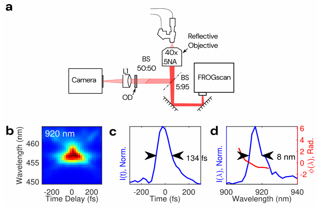 bioRxiv preprint * Opto2P-FCM:新型头戴式微型双光子光遗传显微镜 bioRxiv preprint * Opto2P-FCM:新型头戴式微型双光子光遗传显微镜