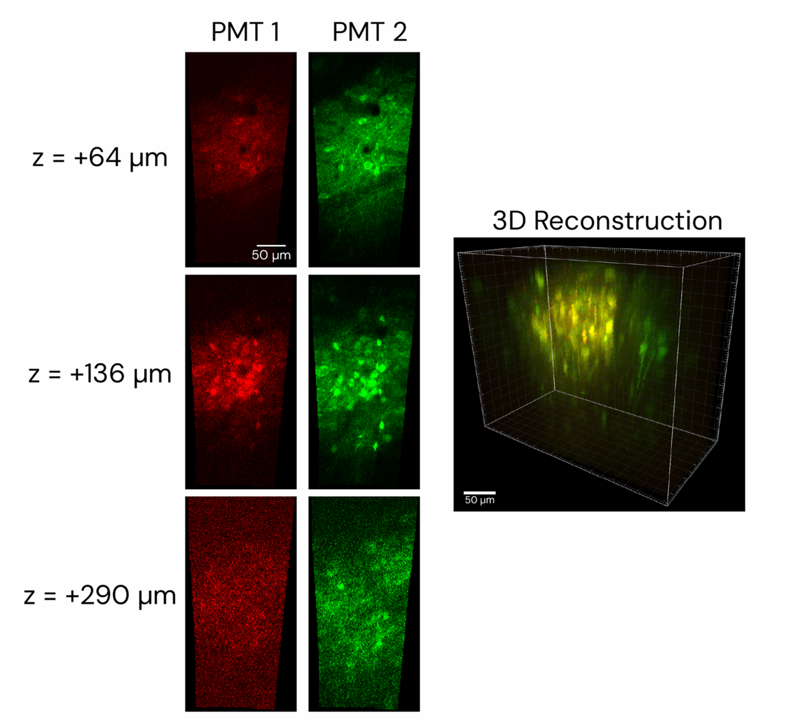 bioRxiv preprint * Opto2P-FCM:新型头戴式微型双光子光遗传显微镜 bioRxiv preprint * Opto2P-FCM:新型头戴式微型双光子光遗传显微镜