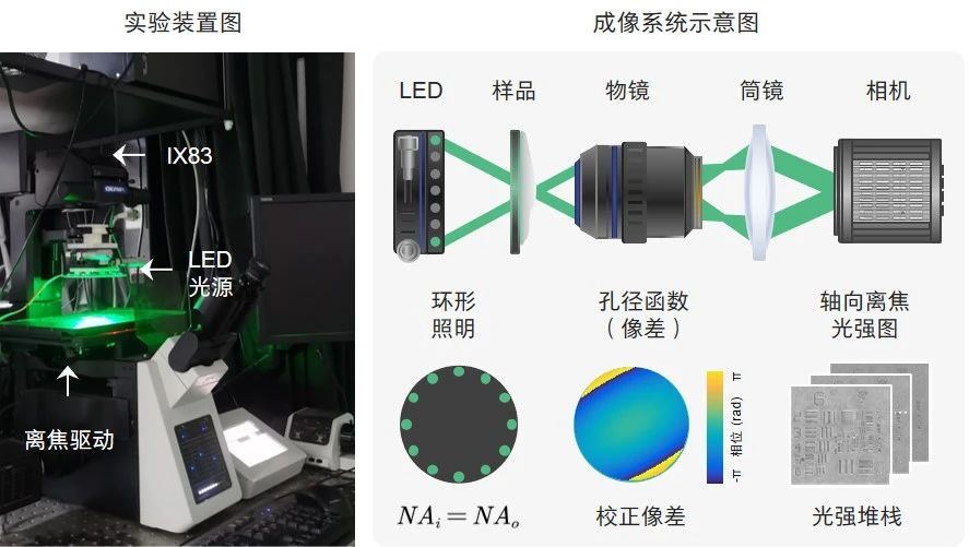 Light Adv. Manuf. | 像差校正技术：实现高通量定量相位成像
