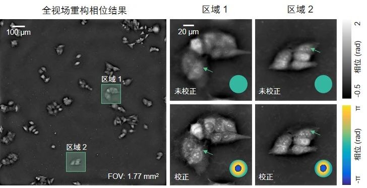 Light Adv. Manuf. | 像差校正技术：实现高通量定量相位成像