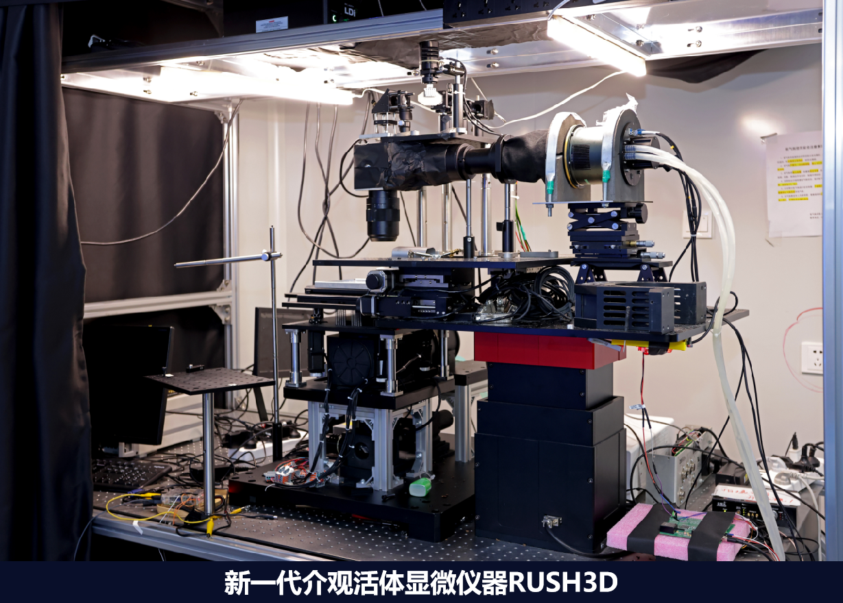 全景式“看清”大脑!戴琼海院士团队研发出新一代超级显微镜 全景式“看清”大脑!戴琼海院士团队研发出新一代超级显微镜