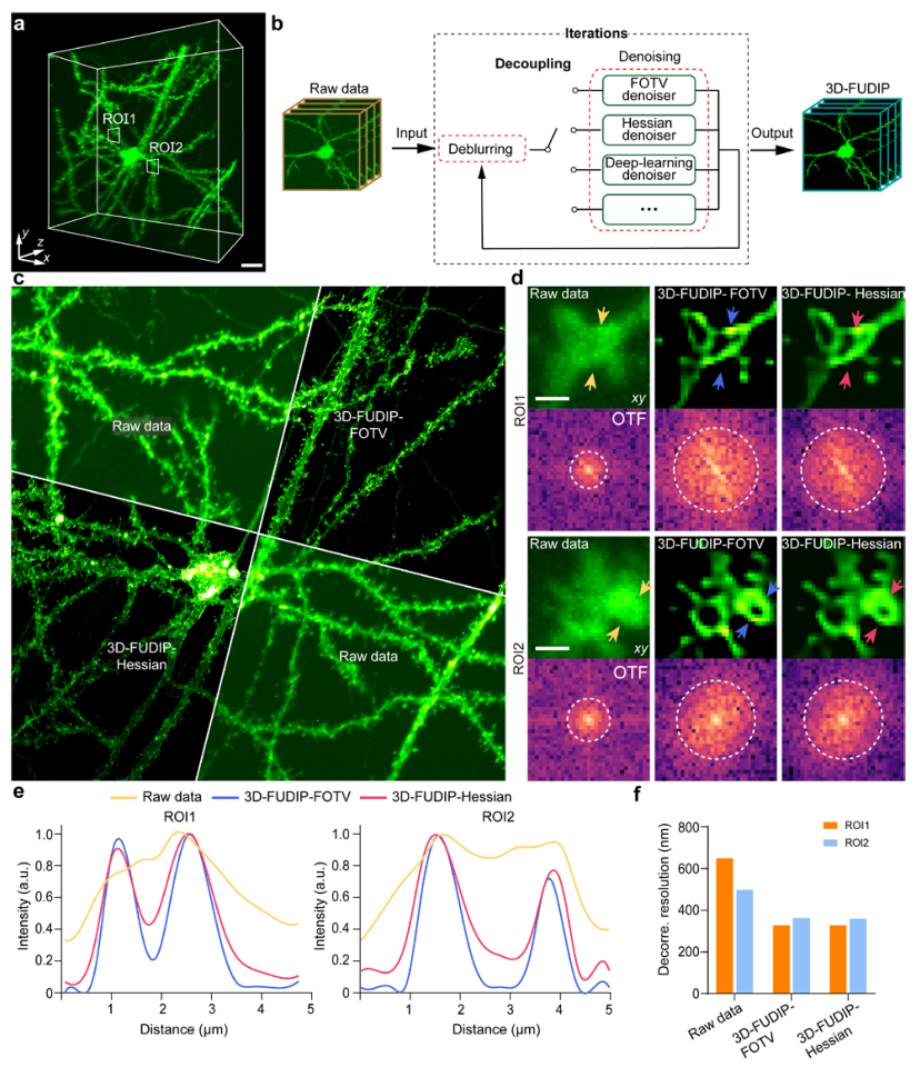 bioRxiv * 浙江大学斯科团队提出高通量三维超分辨率深组织成像新算法