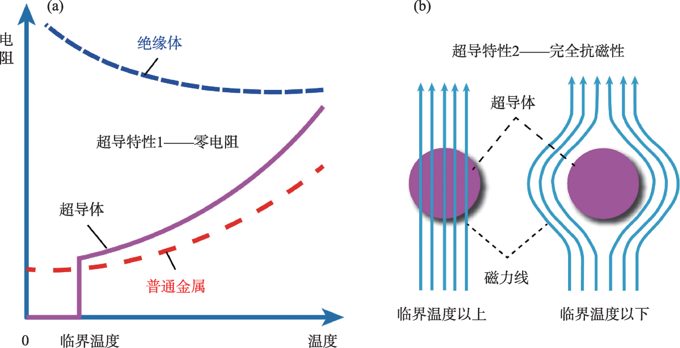 “光子慧眼”：超导纳米线单光子探测器︱超导材料及其应用专栏