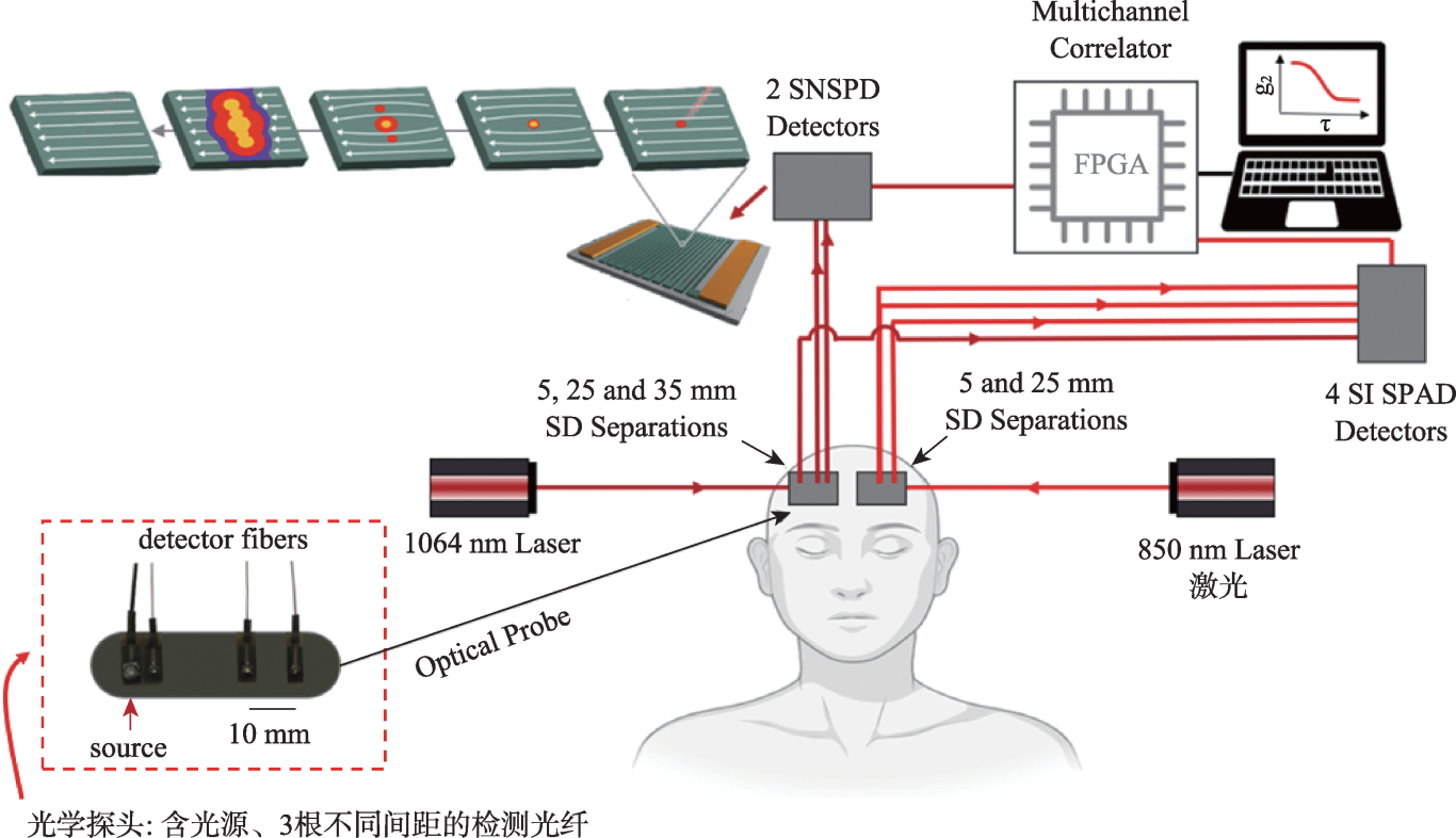 “光子慧眼”：超导纳米线单光子探测器︱超导材料及其应用专栏