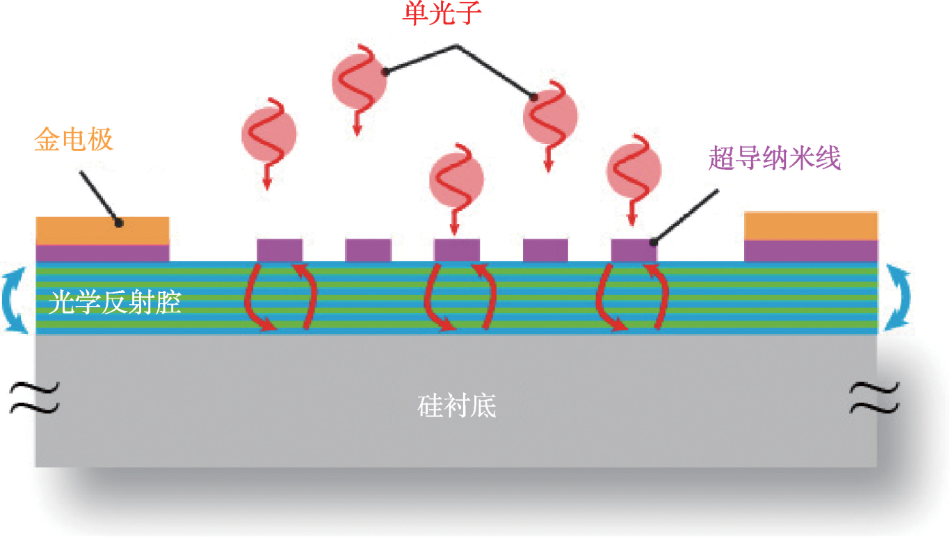 “光子慧眼”：超导纳米线单光子探测器︱超导材料及其应用专栏