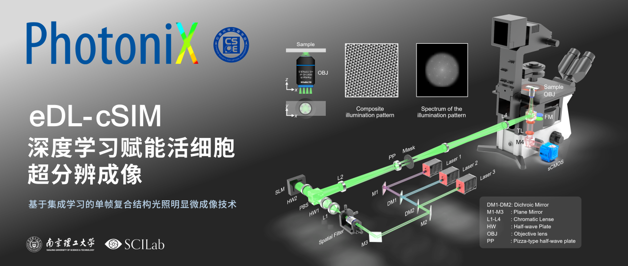 前沿 | 深度学习赋能活细胞超分辨成像 前沿 | 深度学习赋能活细胞超分辨成像