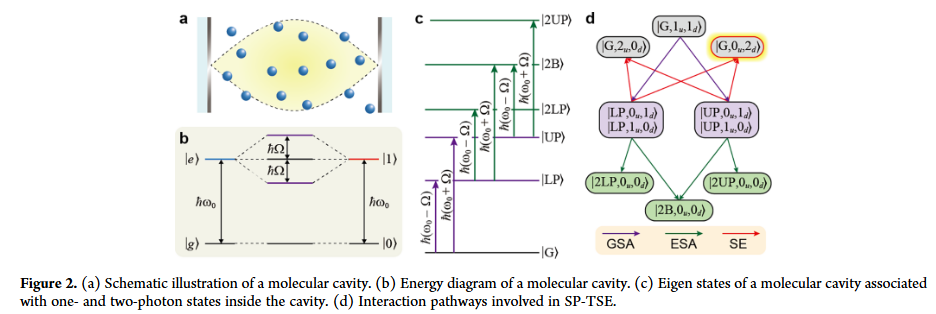 单光子飞秒光谱:微观世界的温柔观察者 单光子飞秒光谱:微观世界的温柔观察者