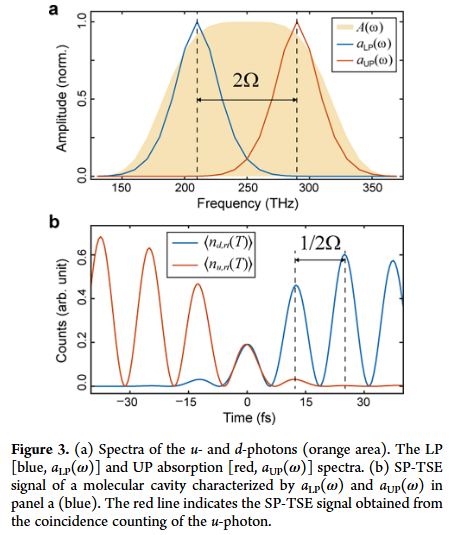 单光子飞秒光谱:微观世界的温柔观察者 单光子飞秒光谱:微观世界的温柔观察者