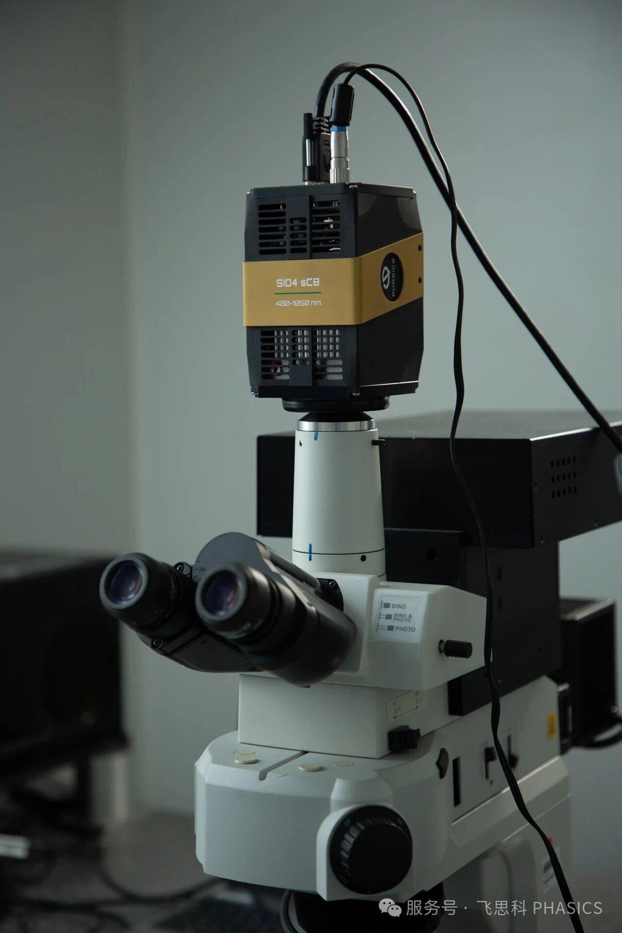 当机器学习遇上定量相位成像,如何实时评估癌症免疫治疗? 当机器学习遇上定量相位成像,如何实时评估癌症免疫治疗?