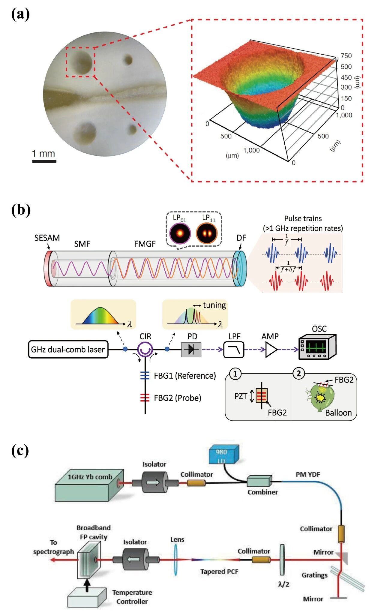 封面|南京大学徐飞教授团队:解锁超快光源的“速度与激情”——高重频光纤光梳 封面|南京大学徐飞教授团队:解锁超快光源的“速度与激情”——高重频光纤光梳