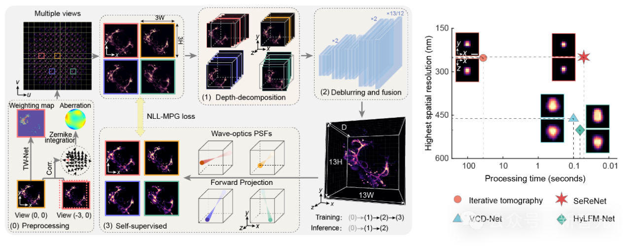 光场显微飞跃AI时代!清华等首提SeReNet:毫秒级高分辨光场三维重建 光场显微飞跃AI时代!清华等首提SeReNet:毫秒级高分辨光场三维重建