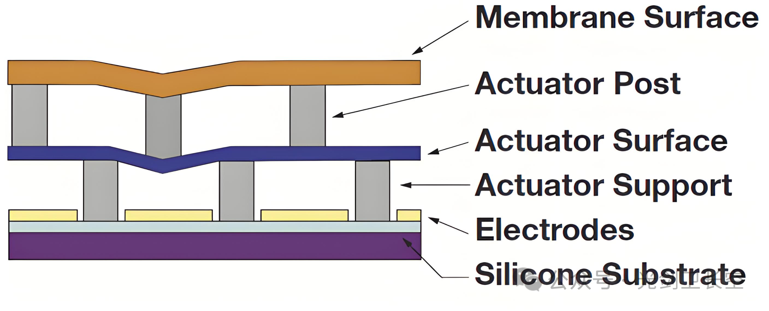 光学自适应补偿技术
