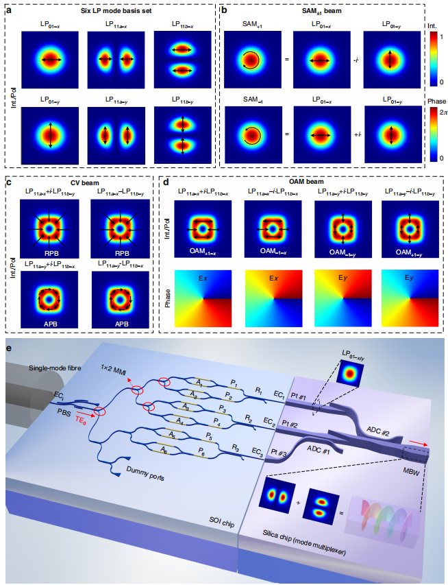 科研进展 | 浙江大学、北京大学等:全片上可重构结构光生成器,赋能集成量子技术 科研进展 | 浙江大学、北京大学等:全片上可重构结构光生成器,赋能集成量子技术