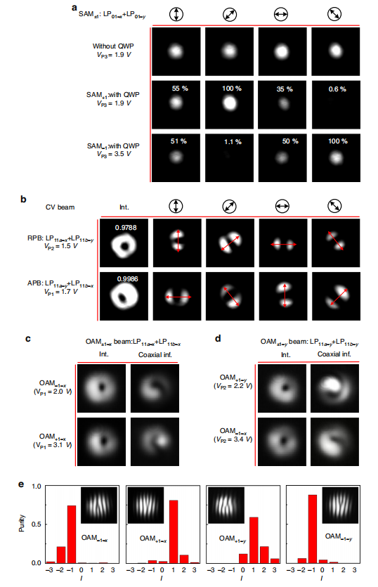 科研进展 | 浙江大学、北京大学等:全片上可重构结构光生成器,赋能集成量子技术 科研进展 | 浙江大学、北京大学等:全片上可重构结构光生成器,赋能集成量子技术