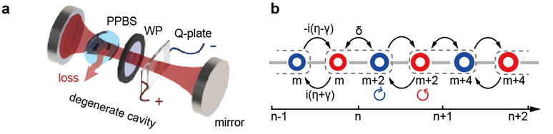 李传锋、许金时团队Light |轨道角动量合成维度助力非厄米性质研究