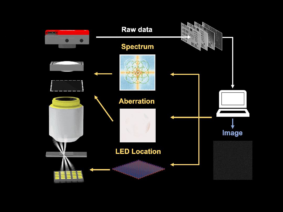 Light | 可微分成像解锁全链路优化 Light | 可微分成像解锁全链路优化