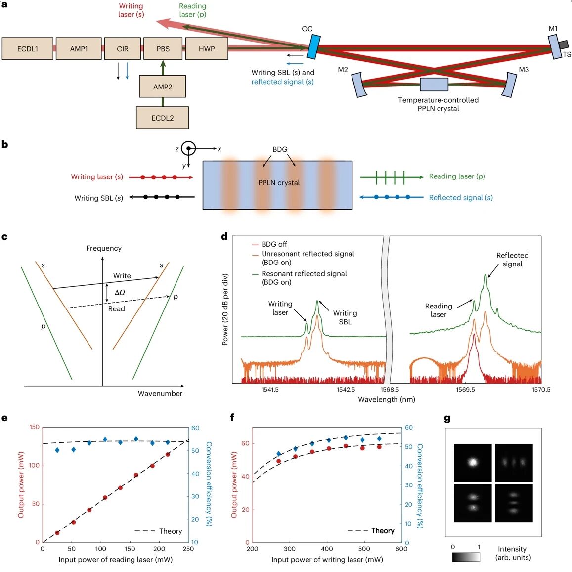 聂明明/黄书伟等Nature Photonics | 交叉偏振受激布里渊散射赋能创新光子学器件 聂明明/黄书伟等Nature Photonics | 交叉偏振受激布里渊散射赋能创新光子学器件