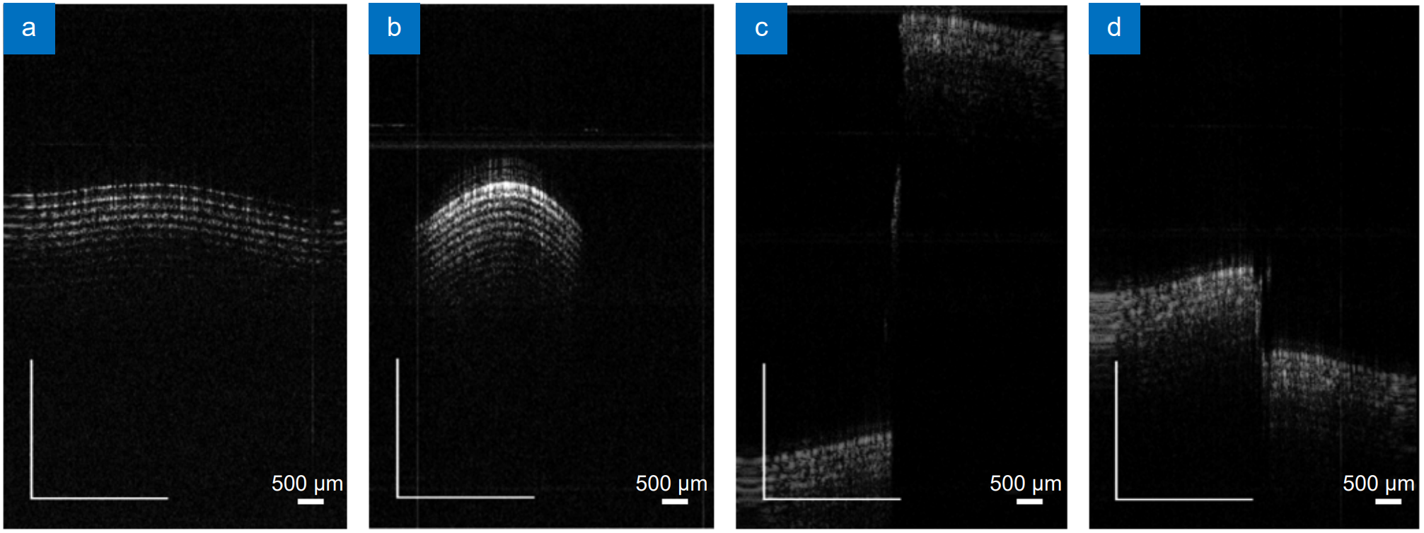 OEE封面 | 大视场内窥OCT助力眼科成像【中国科学院史国华研究员团队】 OEE封面 | 大视场内窥OCT助力眼科成像【中国科学院史国华研究员团队】