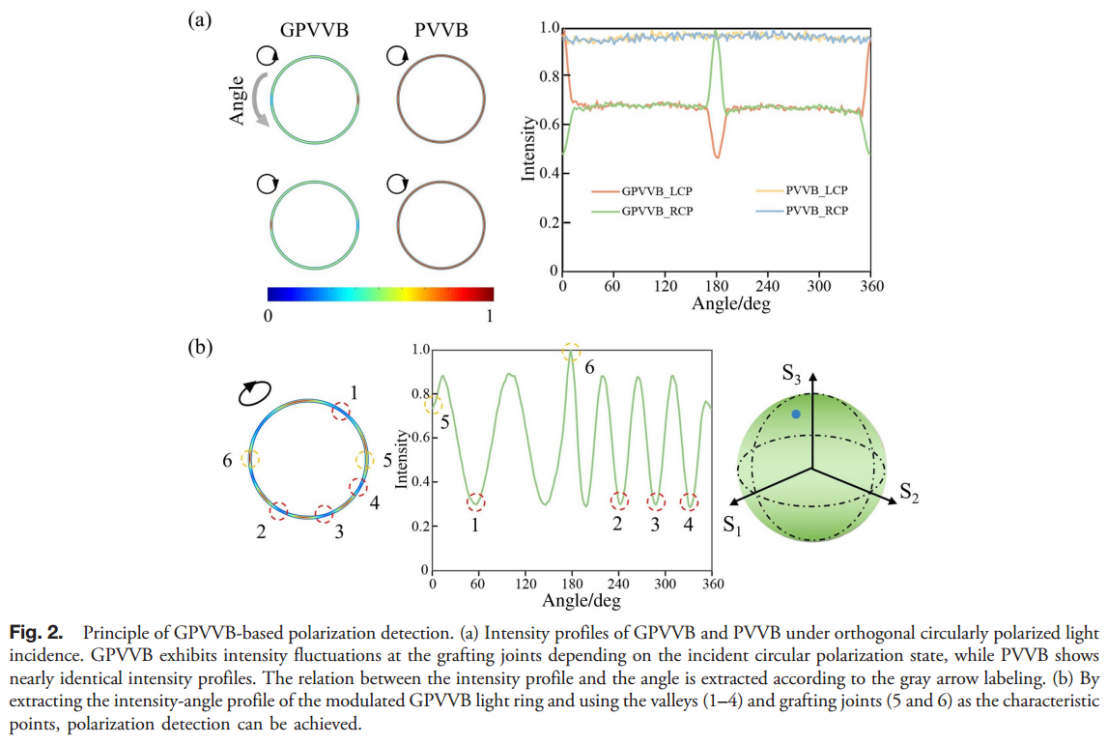 Photonics Research_中国科学院光电技术研究所罗先刚_基于超表面矢量光束调制的高精度宽带偏振探测