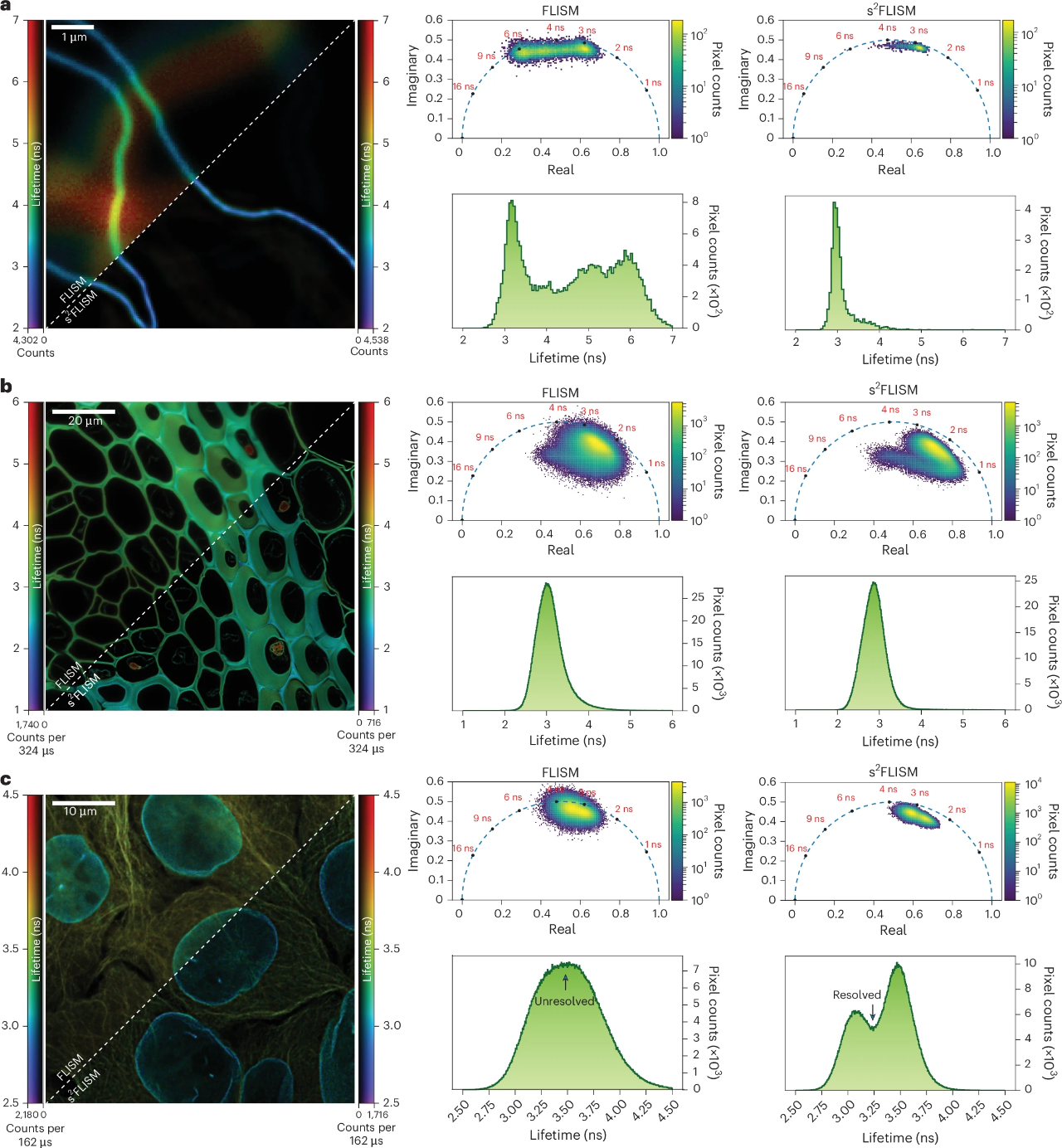 突破分辨率极限!这款“细胞透视镜”,超清+三维成像同步搞定 突破分辨率极限!这款“细胞透视镜”,超清+三维成像同步搞定
