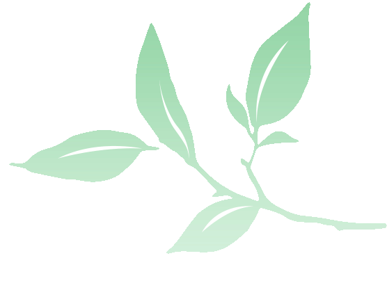 突破分辨率极限!这款“细胞透视镜”,超清+三维成像同步搞定