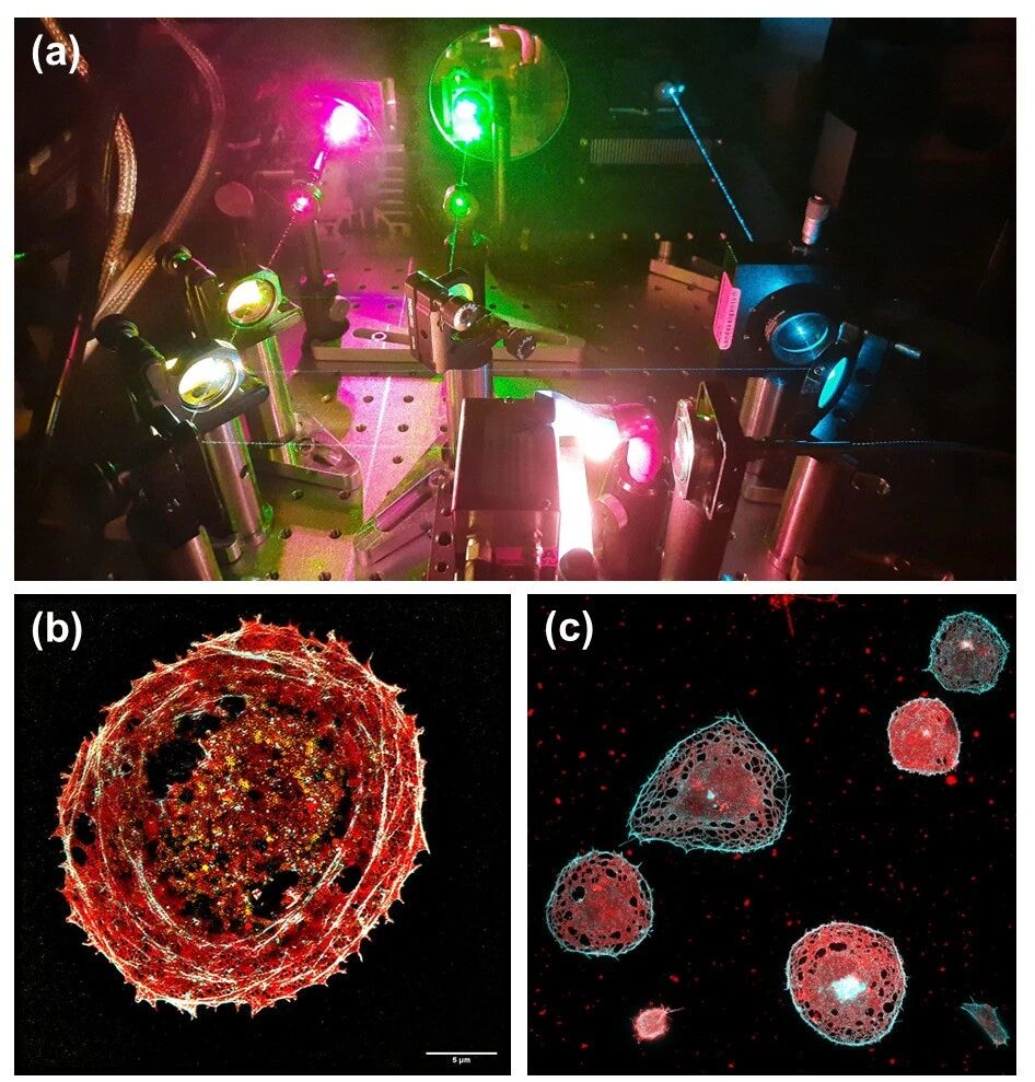 突破分辨率极限!这款“细胞透视镜”,超清+三维成像同步搞定 突破分辨率极限!这款“细胞透视镜”,超清+三维成像同步搞定