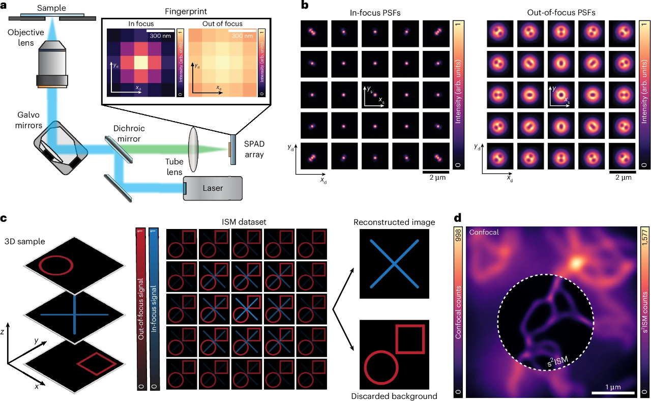 突破分辨率极限!这款“细胞透视镜”,超清+三维成像同步搞定 突破分辨率极限!这款“细胞透视镜”,超清+三维成像同步搞定