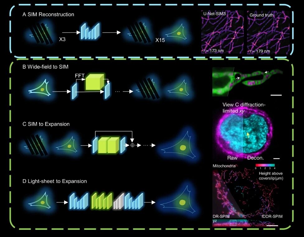 突破光学显微镜极限,超分辨率成像技术引领生命科学新时代【珍藏版大综述】 突破光学显微镜极限,超分辨率成像技术引领生命科学新时代【珍藏版大综述】