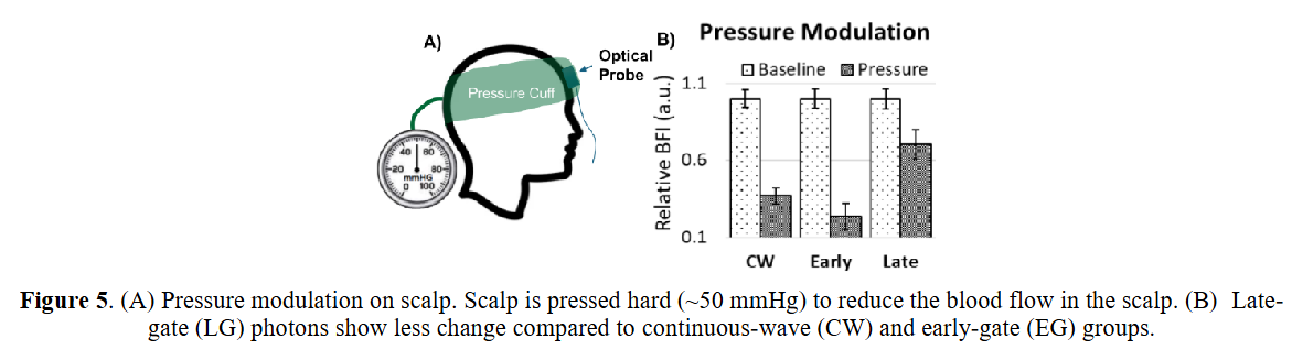 突破脑血流监测瓶颈:从SNSPD到SPAD相机的无创革命 突破脑血流监测瓶颈:从SNSPD到SPAD相机的无创革命