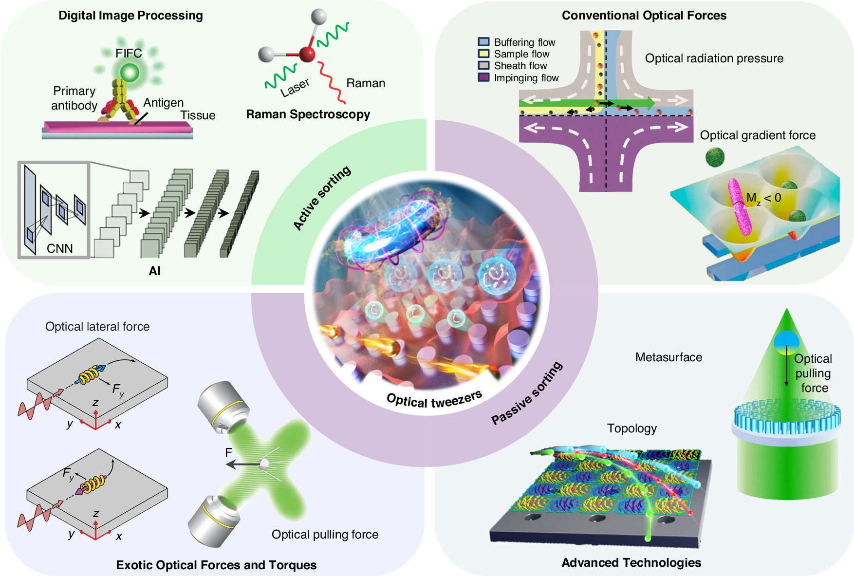 王占山/程鑫彬/施宇智/张卉/仇成伟等Light封面综述：光学分选技术