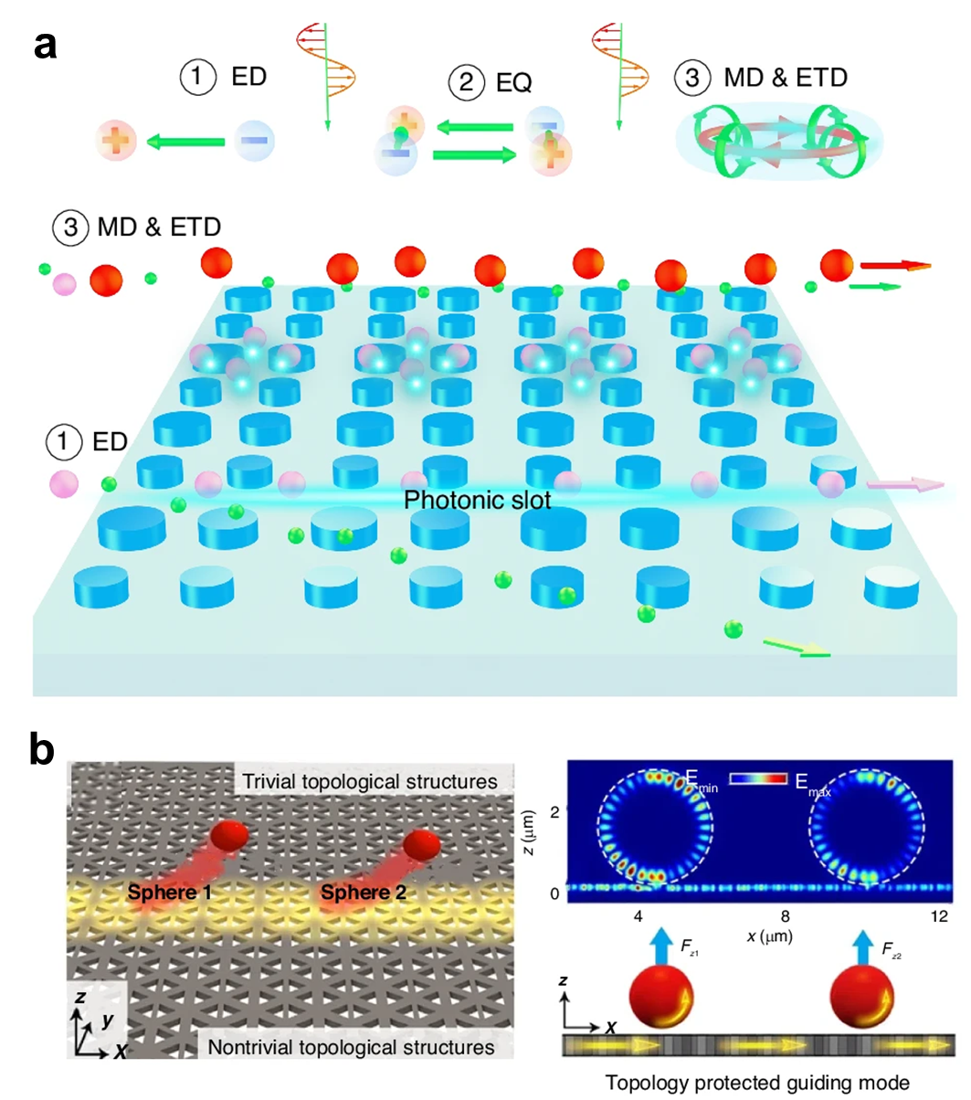 王占山/程鑫彬/施宇智/张卉/仇成伟等Light封面综述：光学分选技术