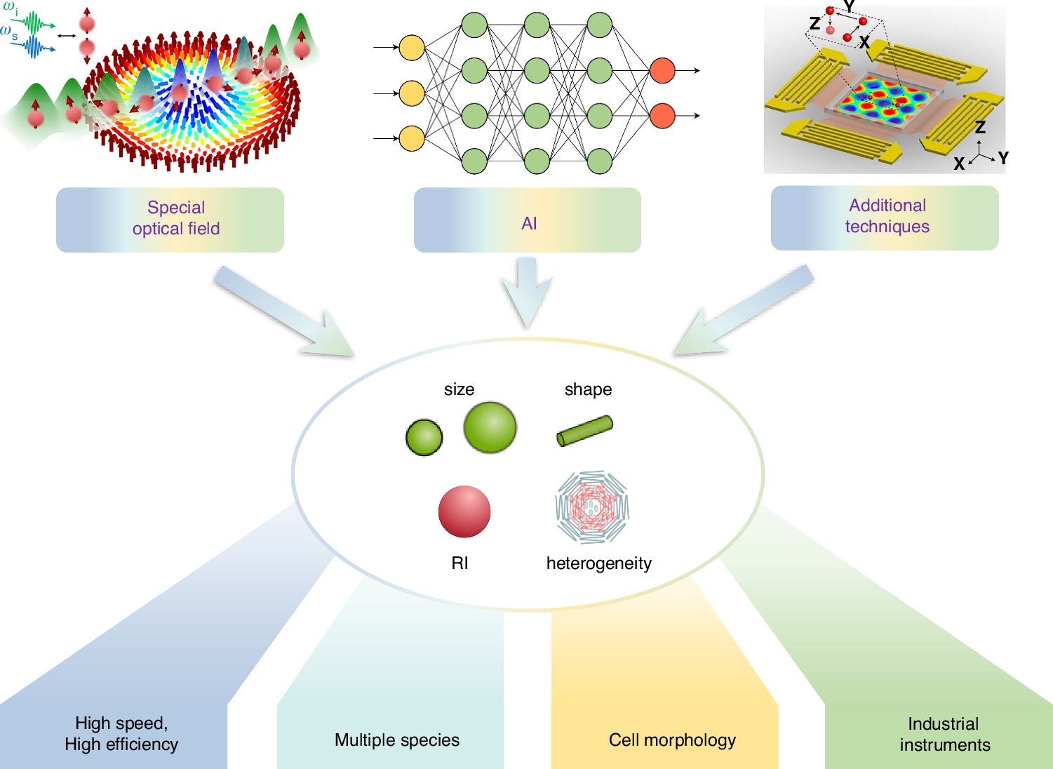 王占山/程鑫彬/施宇智/张卉/仇成伟等Light封面综述：光学分选技术