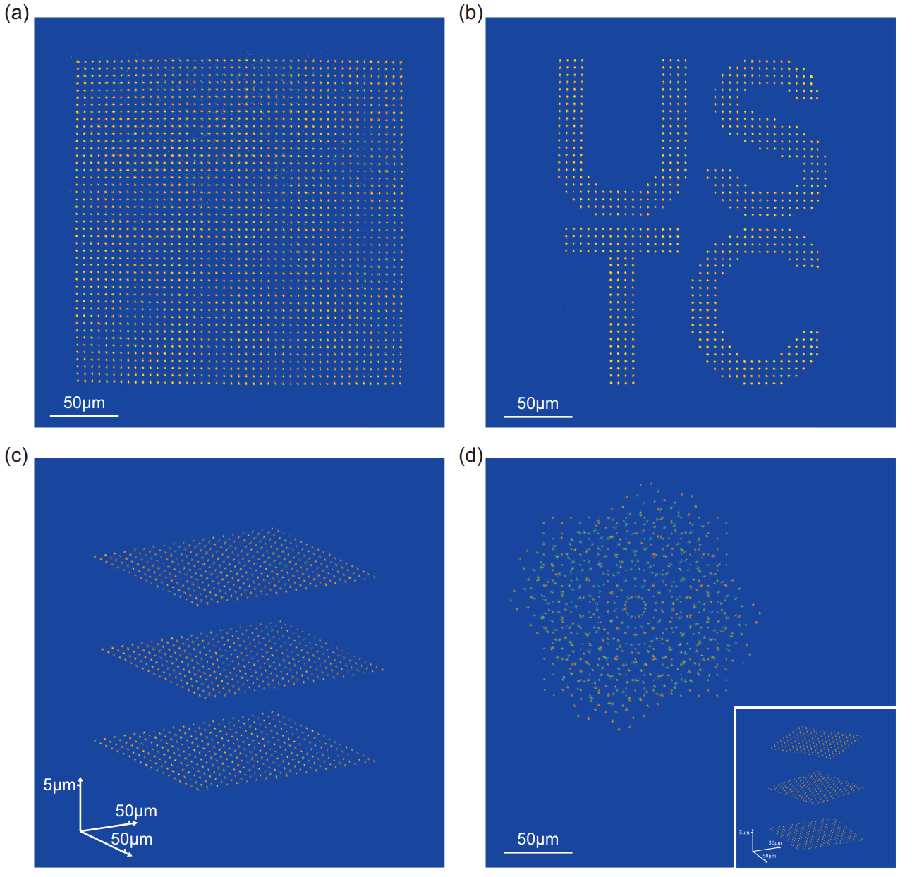 我国学者构建国际最大规模原子量子计算系统 我国学者构建国际最大规模原子量子计算系统