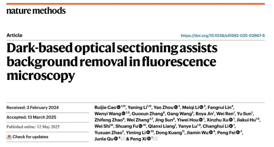 荧光显微镜背景太强怎么办?Nature Methods|北京大学席鹏团队发表高保真背景去除技术Dark sectioning 荧光显微镜背景太强怎么办?Nature Methods|北京大学席鹏团队发表高保真背景去除技术Dark sectioning