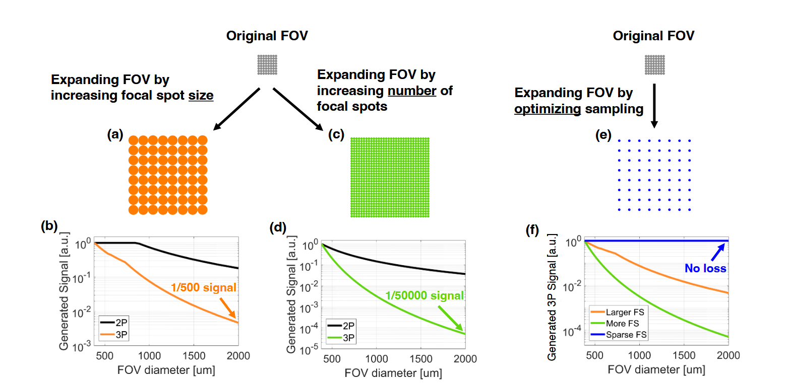 重磅突破! LIFT显微镜:3P成像视场扩大10倍以上,深层脑区从此一览无余! 重磅突破! LIFT显微镜:3P成像视场扩大10倍以上,深层脑区从此一览无余!