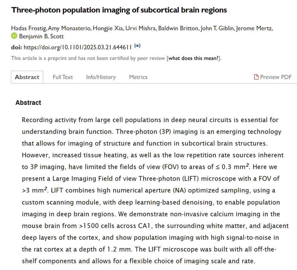 重磅突破! LIFT显微镜:3P成像视场扩大10倍以上,深层脑区从此一览无余! 重磅突破! LIFT显微镜:3P成像视场扩大10倍以上,深层脑区从此一览无余!