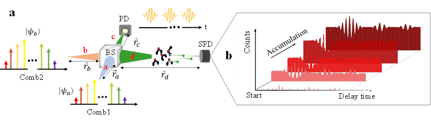 中科大薛向辉团队Light丨突破湍流大气遥感极限:具有阿瓦级灵敏度的光子计数双光梳光谱 中科大薛向辉团队Light丨突破湍流大气遥感极限:具有阿瓦级灵敏度的光子计数双光梳光谱