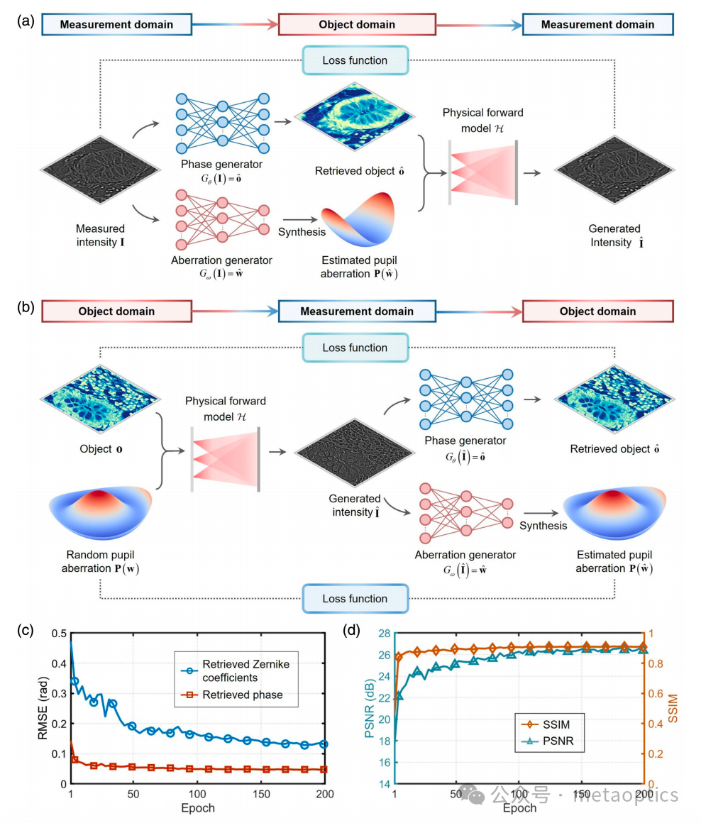Advanced Photonics - 通过物理驱动深度学习实现自适应像差校正的定量相位显微技术