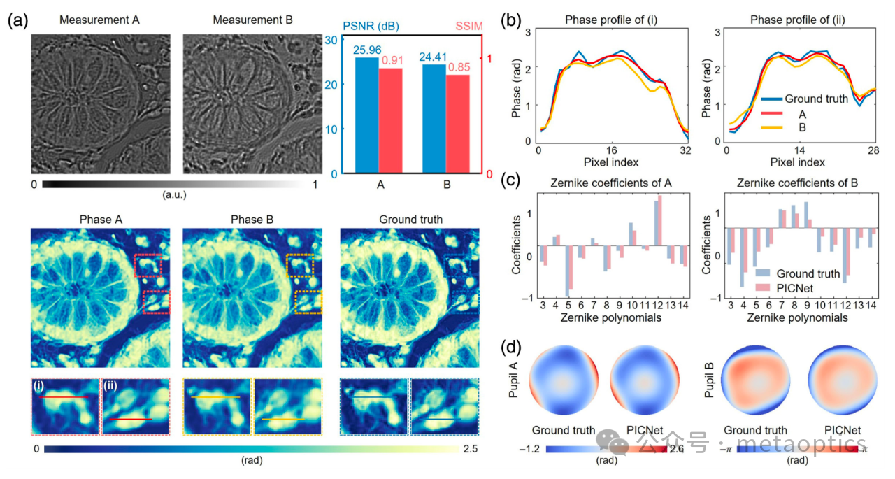 Advanced Photonics - 通过物理驱动深度学习实现自适应像差校正的定量相位显微技术