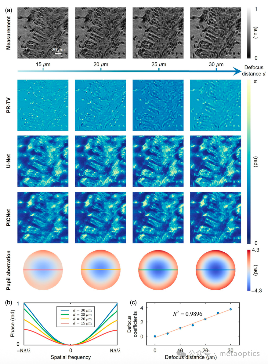 Advanced Photonics - 通过物理驱动深度学习实现自适应像差校正的定量相位显微技术