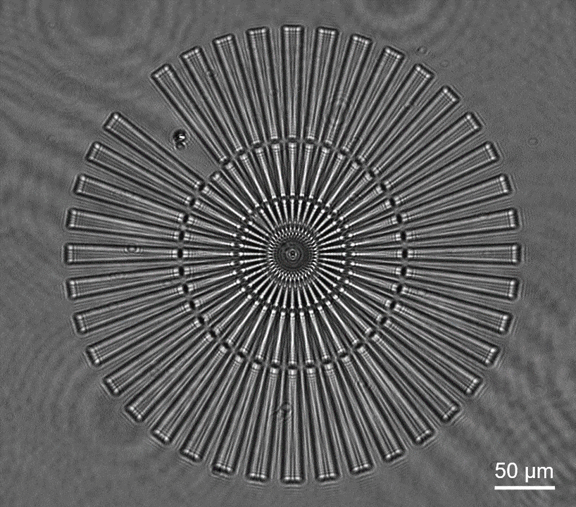 Adv. Photon.丨清华大学精密仪器系研究团队实现像差自校准的智能显微成像