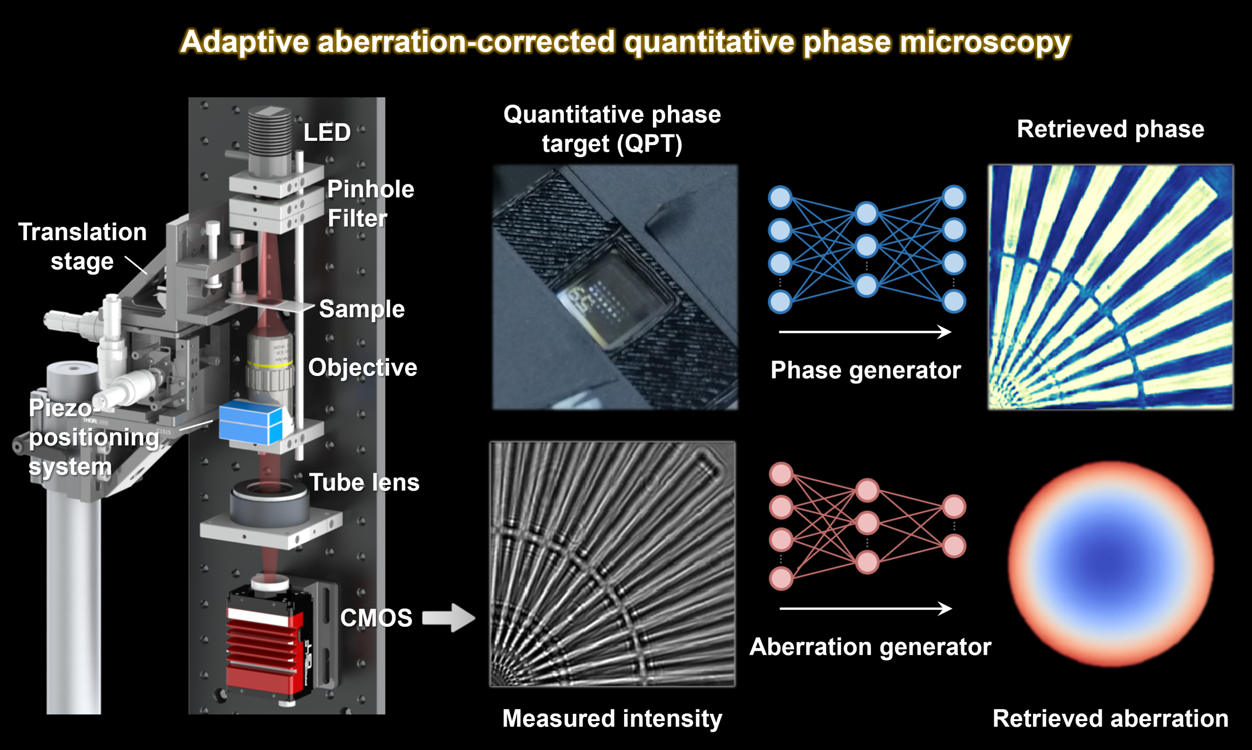 Adv. Photon.丨清华大学精密仪器系研究团队实现像差自校准的智能显微成像