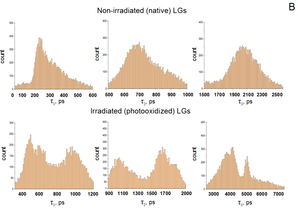 超导单光子探测器SNSPD助力解析视网膜脂褐素病理特性